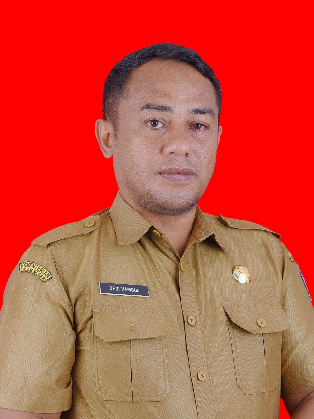 Dedi Hamsul, S.Pi